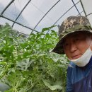 한밭뜰영농조합 이미지