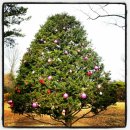 서운동산펜션 이미지