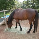 동거목장 이미지