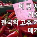 안동고추