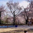 아이코리아새세대유치원 이미지