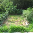 순옥농장 이미지