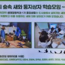 도시둥지