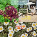 종보농장 이미지