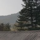 김대현 행정사사무소 이미지