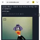 한남들 딥페이크사건 여시n번방 남녀갈등웅앵 하는 이유 이미지