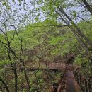 소양강휴게소 이미지