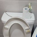 금호제이드웰 | 양주시 옥정동 , 금호제이드웰 상가 막힌 변기 뚫어 출장후기