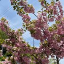 유평산방 이미지