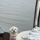 한산도 충무공교실 야영장 이미지