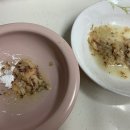 슬로우캣 이미지