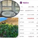 신대3차공인중개사사무소 이미지