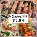 오산-원동-원동비소함1 | [[향양꼬치]]오산 원동 양꼬치 맛집 원동향양꼬치 숯불 양꼬치 후기, 낮맥도 가능 👍