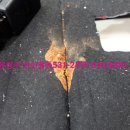 대전스팀세차실내크리닝탑스케어