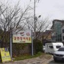 팜파스 이미지