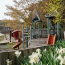 아리랜드 이미지