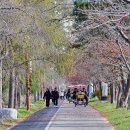 경포호수 1 이미지