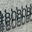 샵808080 이미지