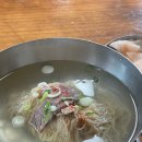 평양냉면 이미지