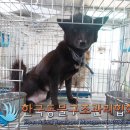 대곶남로 이미지