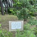 개인사유지 | 충남 서산 수국 명소 모월힐링숲💙- 수국 개화 현황(7월 중순)/개인 사유지/주차 정보/솔직후기