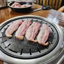 노디목