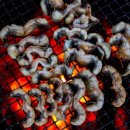 명성풍천장어 이미지