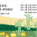 [대나무]벌집 바구니 만들기 네이버블로그