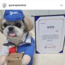 태희문구 이미지