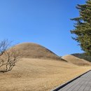 신라투어