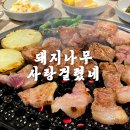 시골뚝배기 전포점 | 서면 고추장삼겹살 맛집 돼지나무 사랑걸렸네 솔직후기