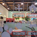 욜로오개 네이버블로그