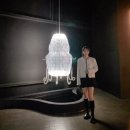 이의후 개인전 | 리움미술관 전시회) 아니카 이 개인전 <또 다른 진화가 있다, 그러나 이에는> 후기