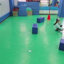 연세태권도장 이미지