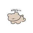 그레이큐브 이미지