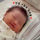 대구 출장 본아트 촬영 견이그라피 내돈내산 솔직후기
