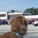 금동펜션 이미지