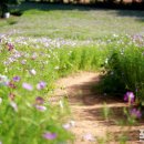 한들농장 이미지