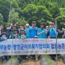 평창농협 이미지