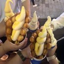 여수달구나 이미지