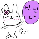 제주펫스쿨 이미지