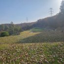 밸리CC 스타트 하우스 | [경기용인] 세현 cc (밸리코스, 레이크코스) 라운드 후기 ~!!