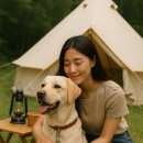 자연속의 펫 이미지