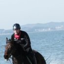 교하운정스카이승마장 이미지