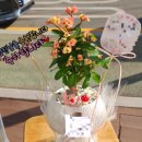 자은동행정복지센터 이미지