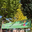 광운초등학교 | 2026학년도 광운초등학교 신입생 입학설명회 후기ㅣ서울 성북구 사립초등학교ㅣ첫 초등 입학설명회...