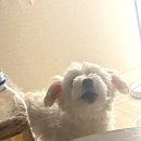 구멍가개 이미지