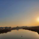 세종청사공인번역행정사사무소 이미지