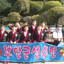 부안합기도