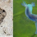 CW-2291-01 이미지